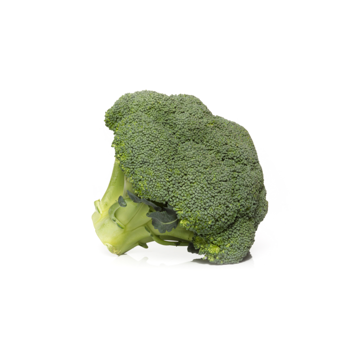 Broccoli teelt voor de beste broccoli