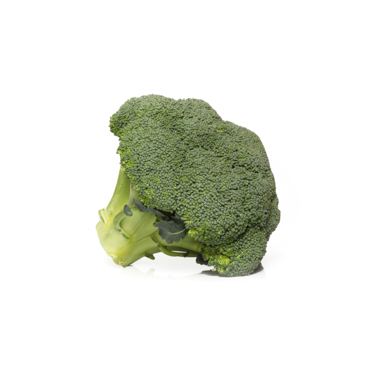 Broccoli teelt voor de beste broccoli Broccoli teelt voor de beste broccoli