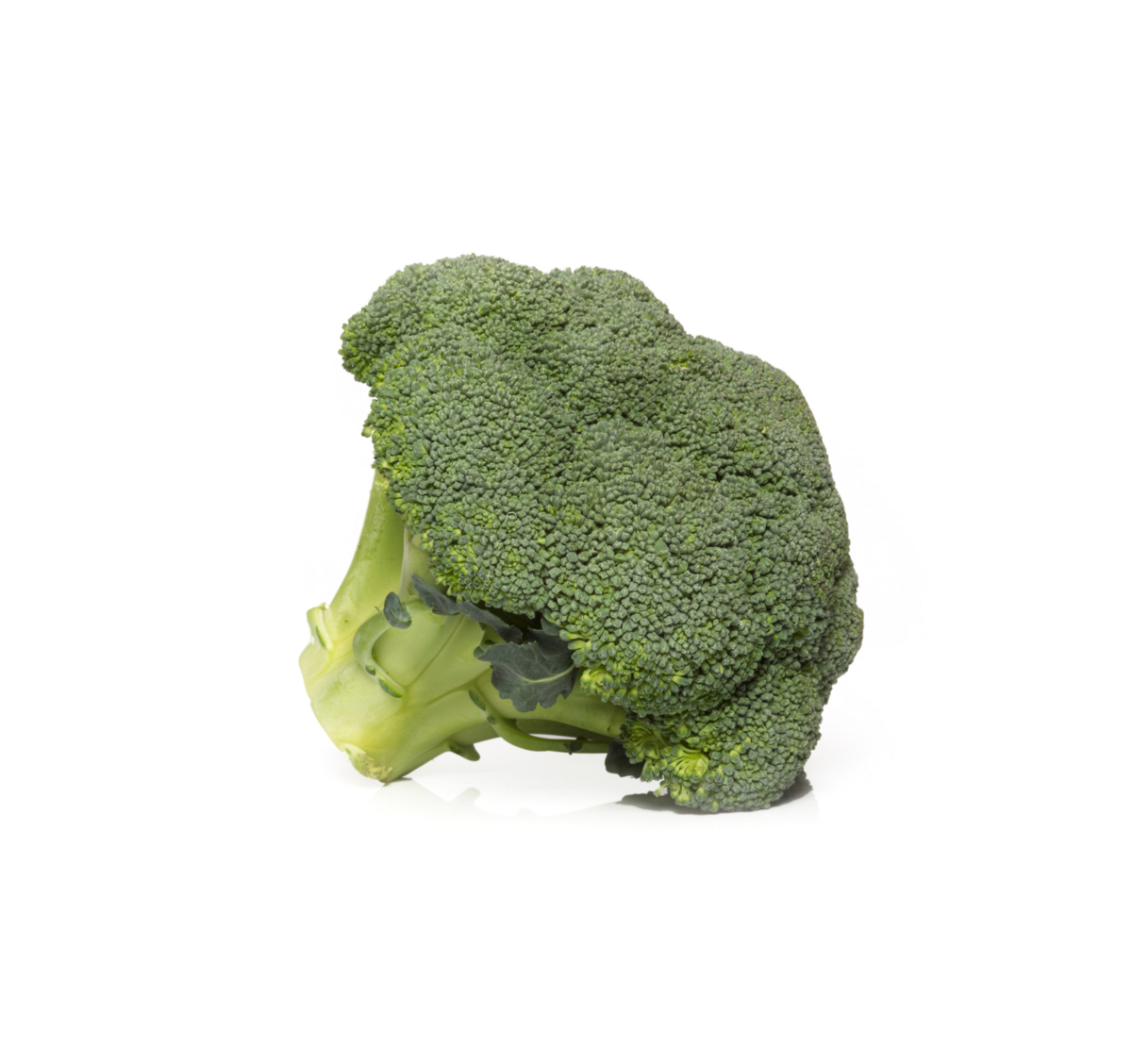 Broccoli teelt voor de beste broccoli