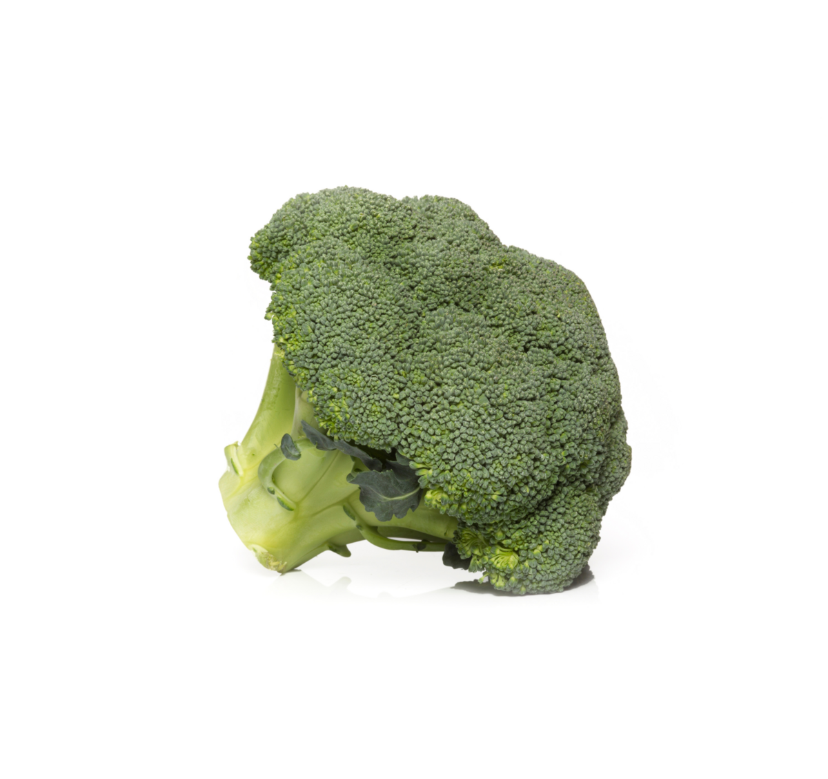 [Translate to French:] Broccoli teelt voor de beste broccoli