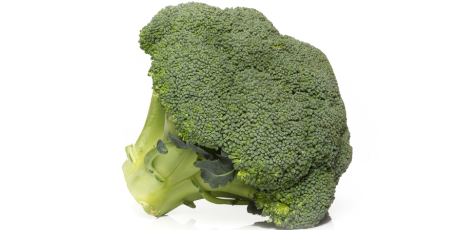 [Translate to French:] Broccoli teelt voor de beste broccoli