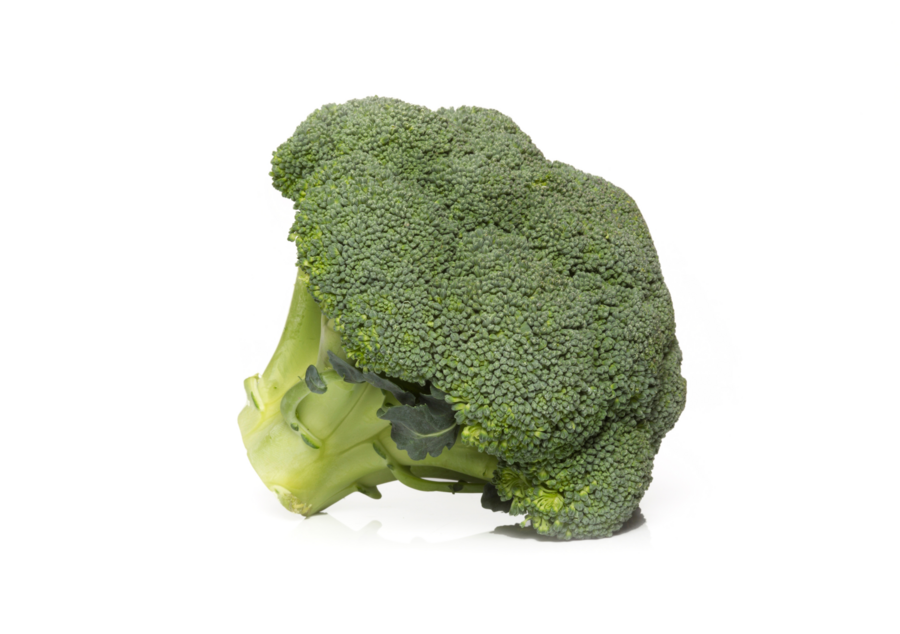 [Translate to French:] Broccoli teelt voor de beste broccoli