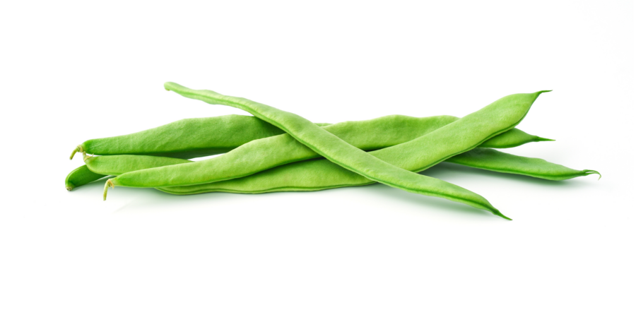 String beans cultivation for the best quality string beans