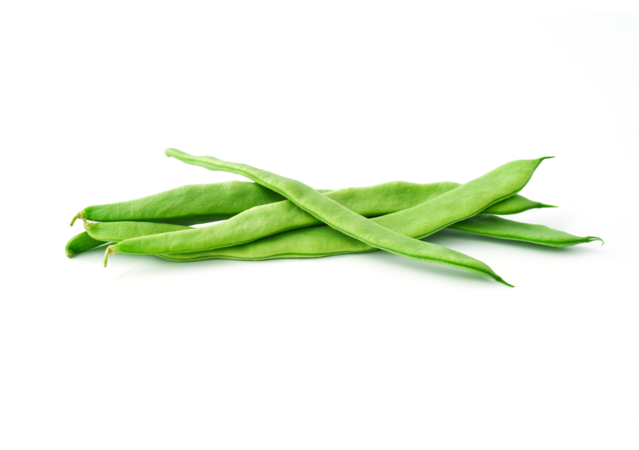 String beans cultivation for the best quality string beans