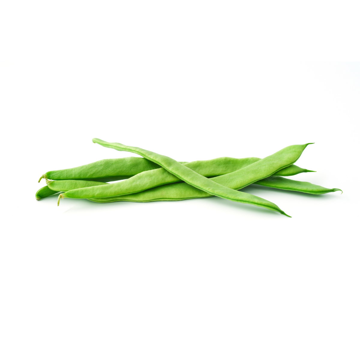 String beans cultivation for the best quality string beans String beans cultivation for the best quality string beans