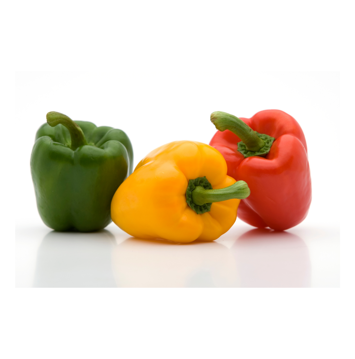 Bell pepper cultivation for the best quality bell pepper