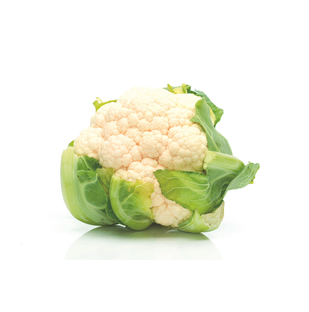 Cauliflower cultivation for the best quality cauliflower Cauliflower cultivation for the best quality cauliflower