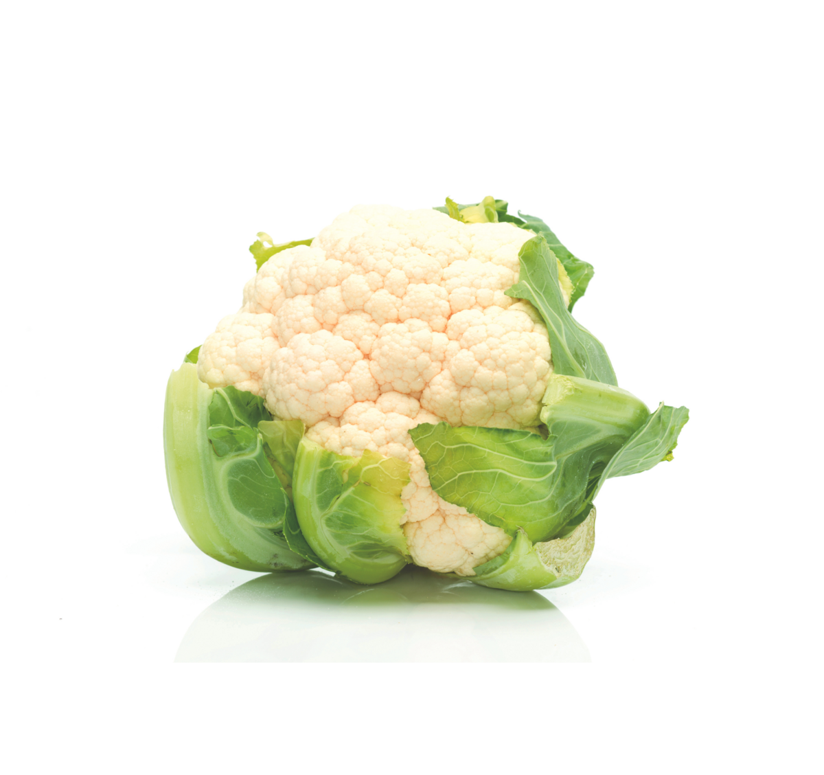 Cauliflower cultivation for the best quality cauliflower