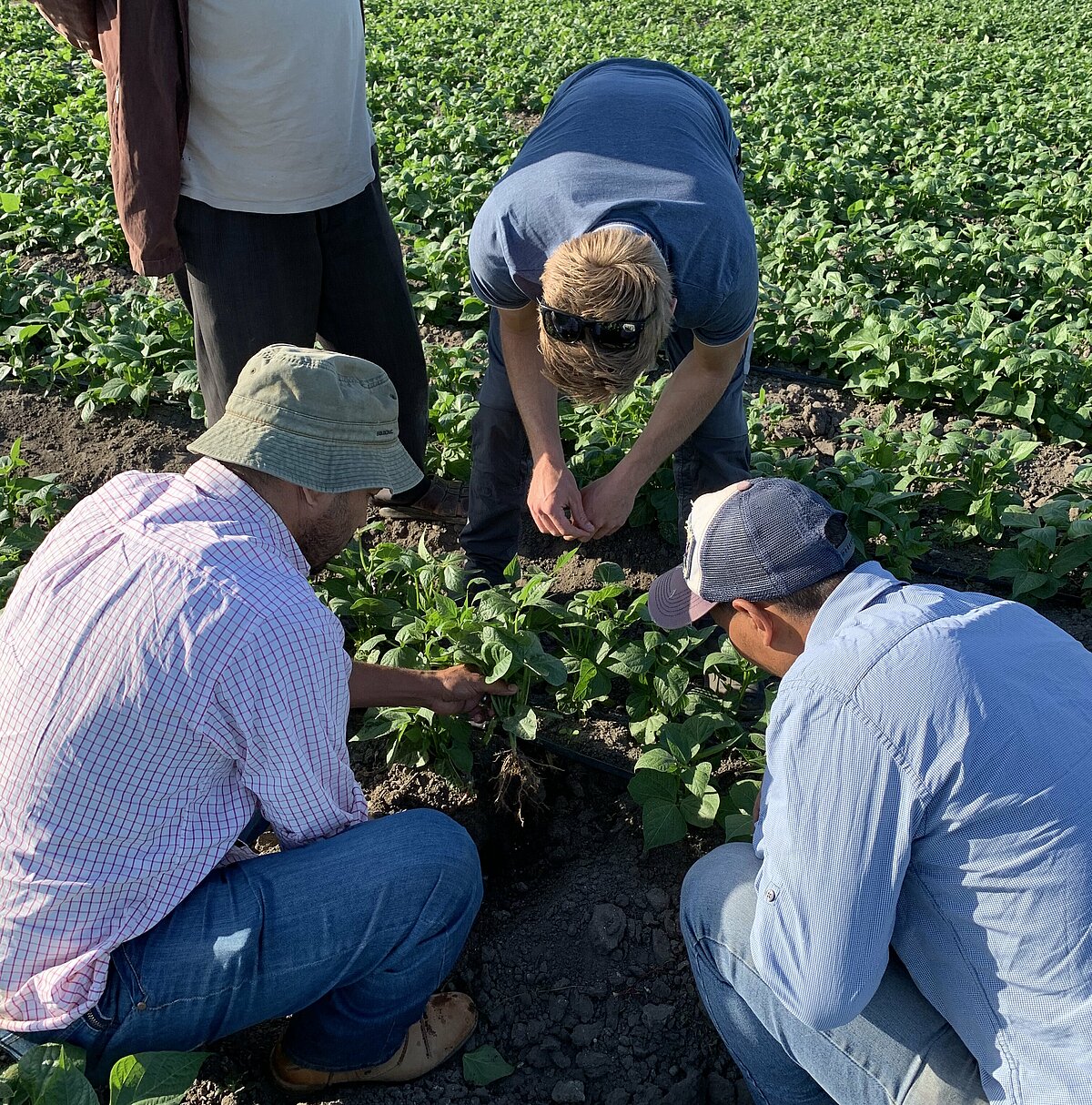 Sustainable partnerships in agriculture