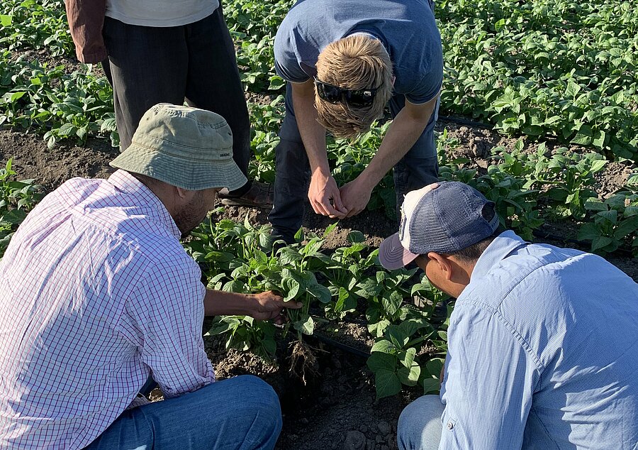 Sustainable partnerships in agriculture