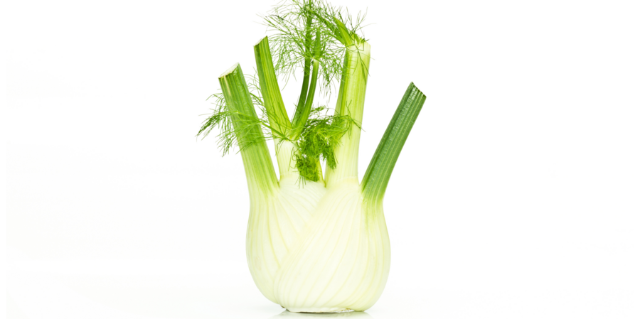 Fennel cultivation for the best quality fennel