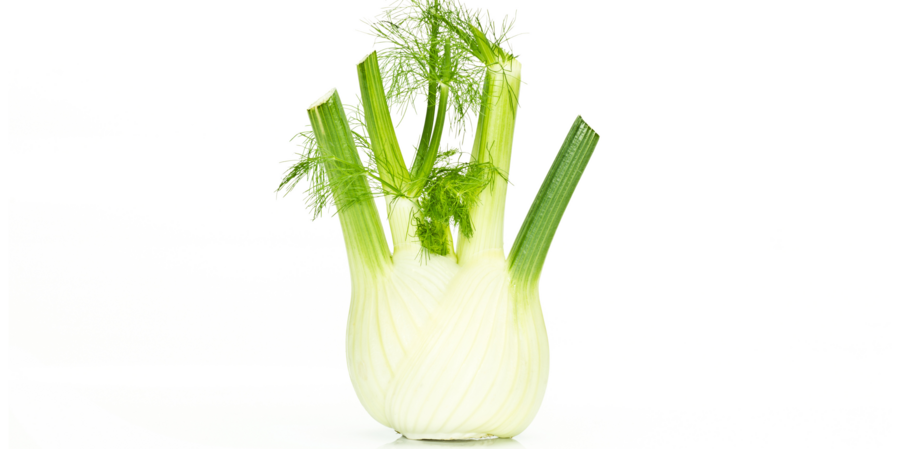 Fenchel