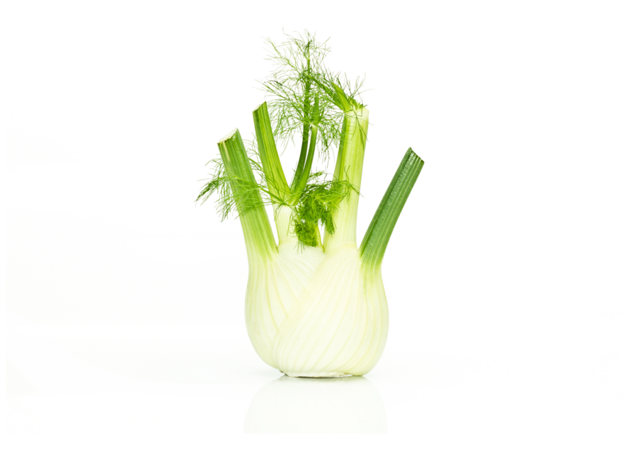 Fennel cultivation for the best quality fennel