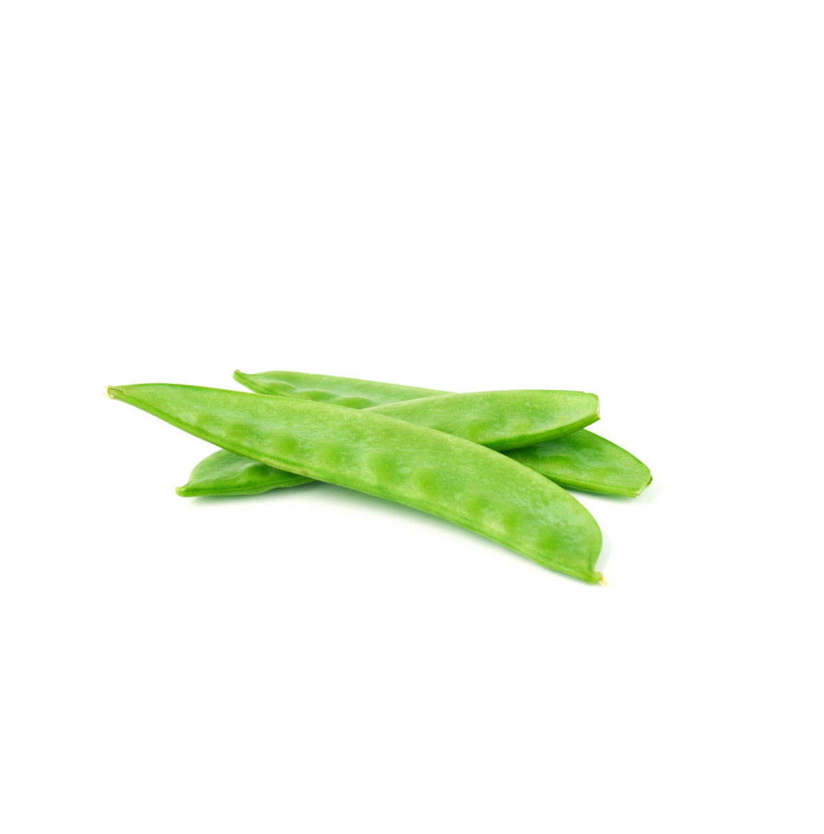 Mangetout cultivation for the best quality mangetout Mangetout cultivation for the best quality mangetout