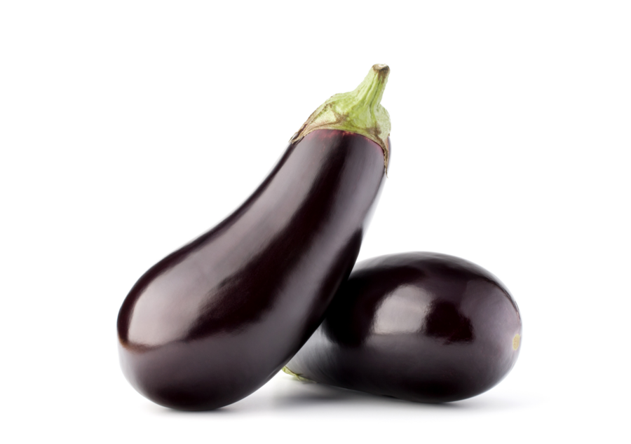 [Translate to French:] Aubergine teelt voor de beste aubergines