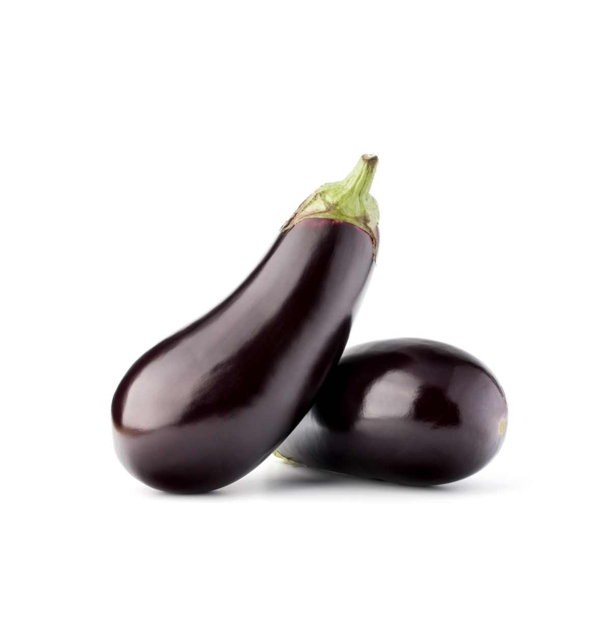 Aubergine teelt voor de beste aubergines Aubergine teelt voor de beste aubergines