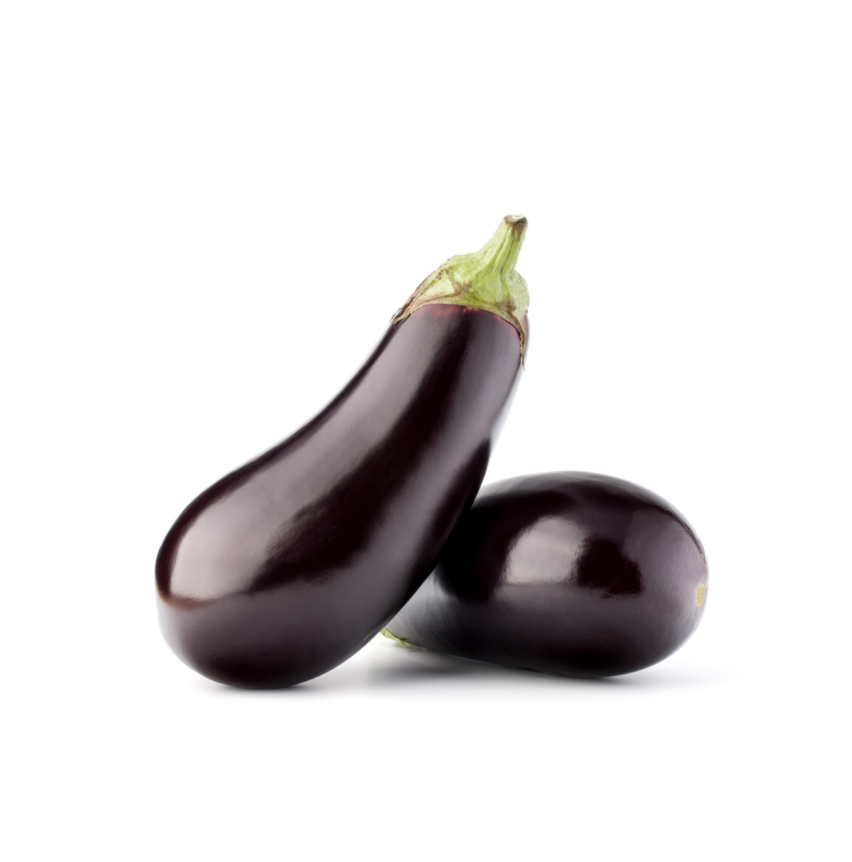 [Translate to French:] Aubergine teelt voor de beste aubergines