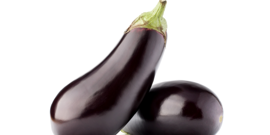 [Translate to French:] Aubergine teelt voor de beste aubergines