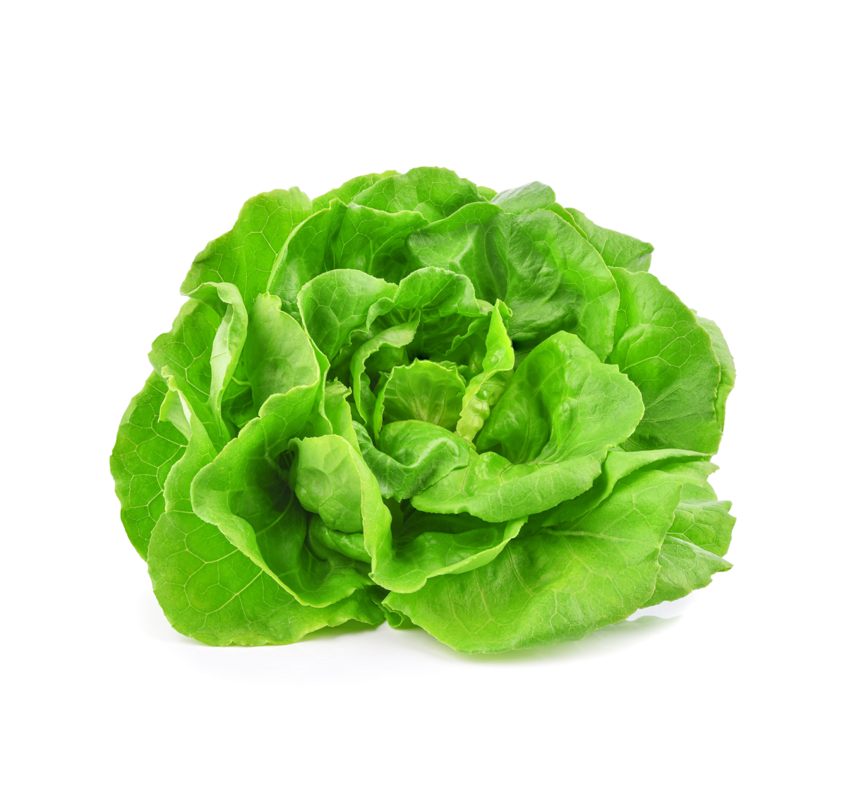 Kopfsalat