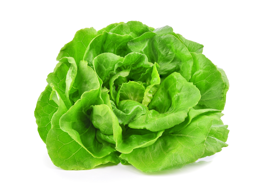 Kopfsalat