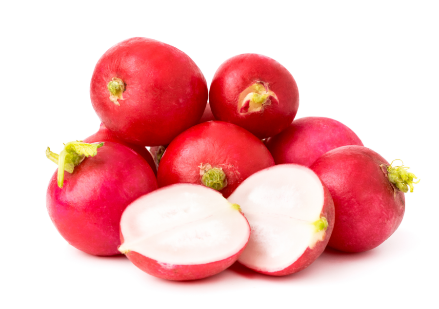 Radish cultivation for the best quality radishes