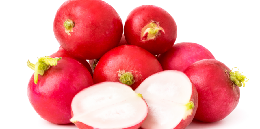 Radish cultivation for the best quality radishes