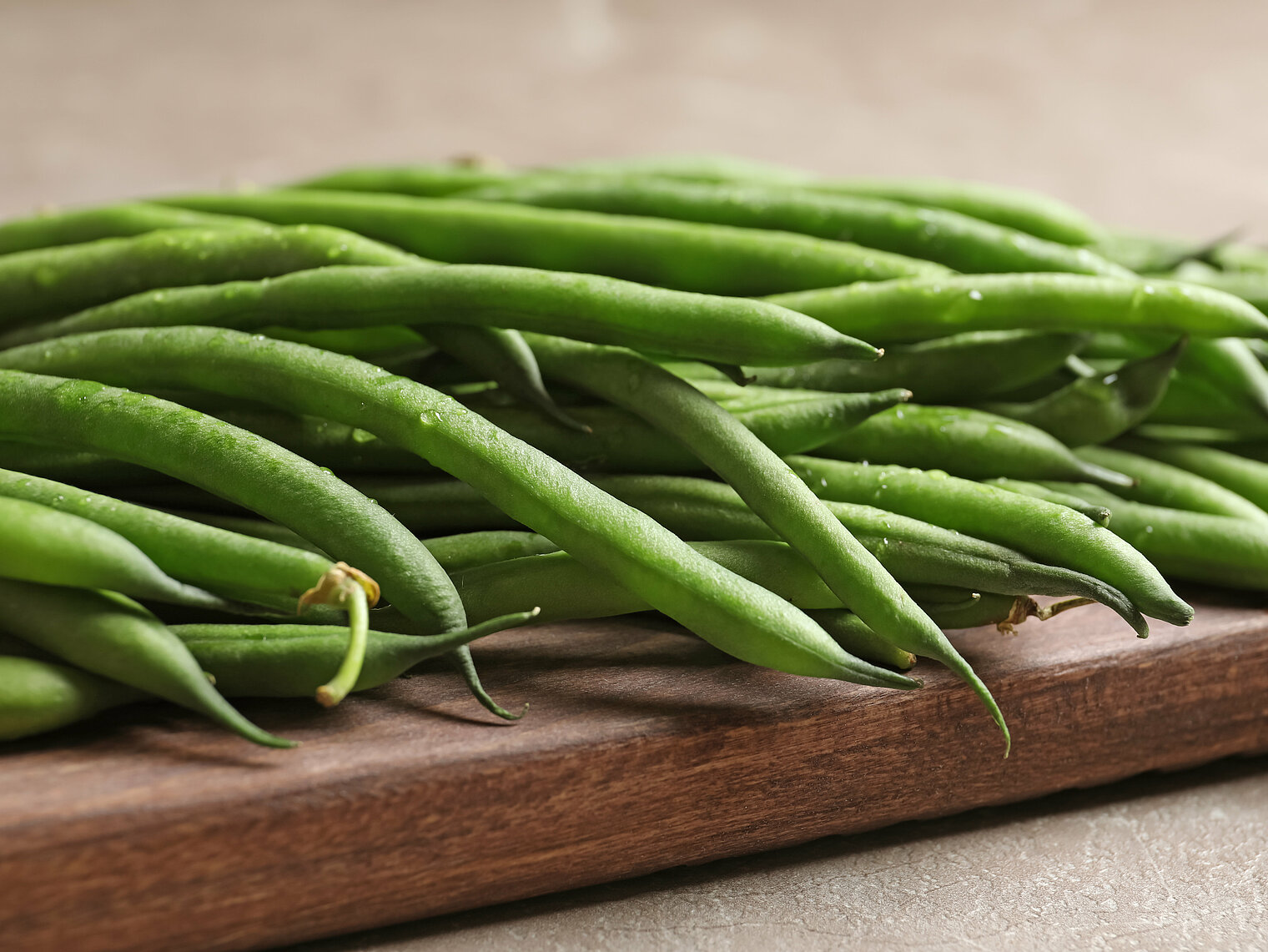 Haricots verts cultivation