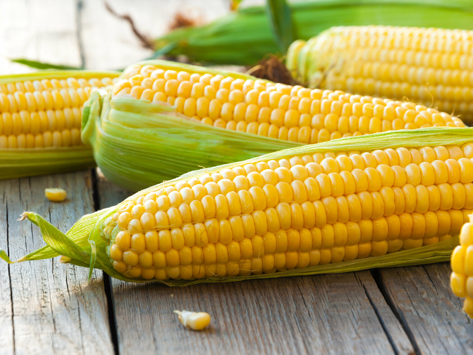 Sweetcorn cultivation