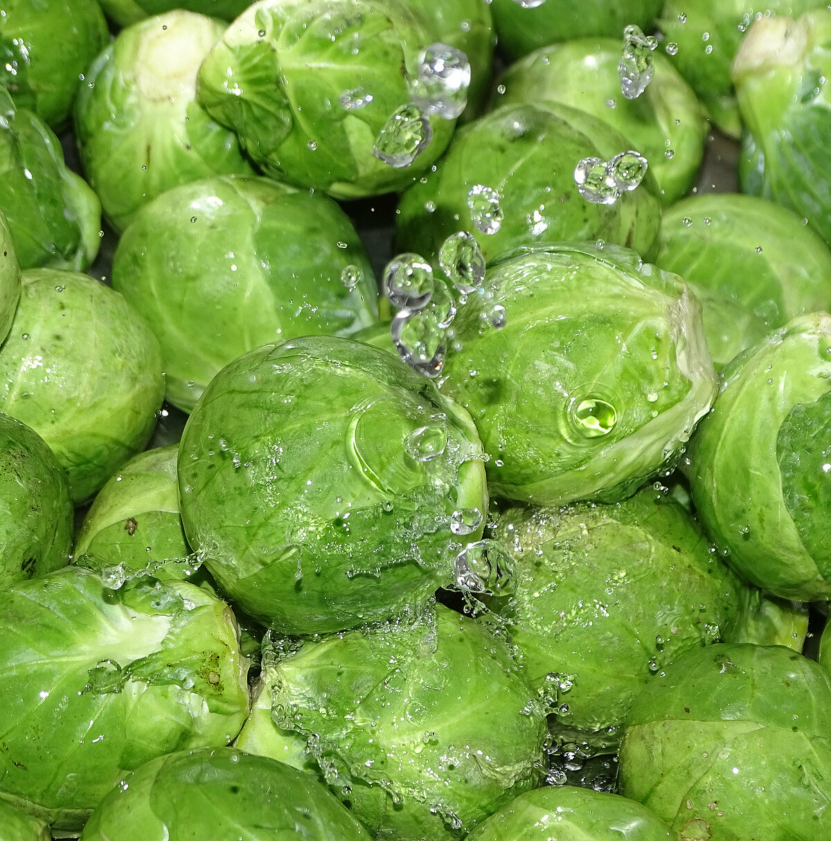 Flexible vegetable packaging options Flexible vegetable packaging options