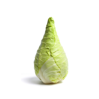 Pointed cabbage