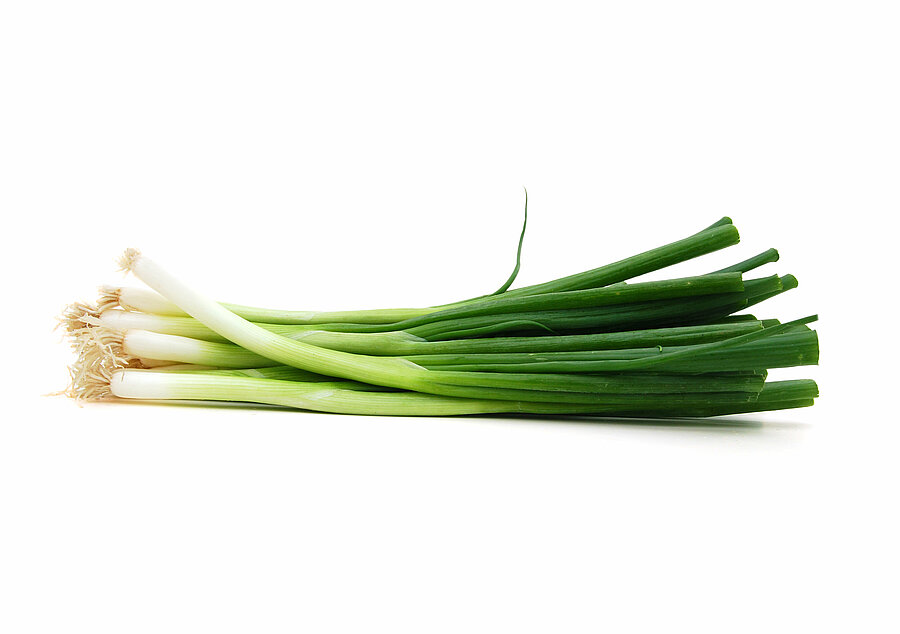 Spring onion cultivation for the best spring onions