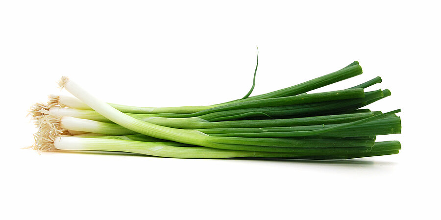 Spring onion cultivation for the best spring onions