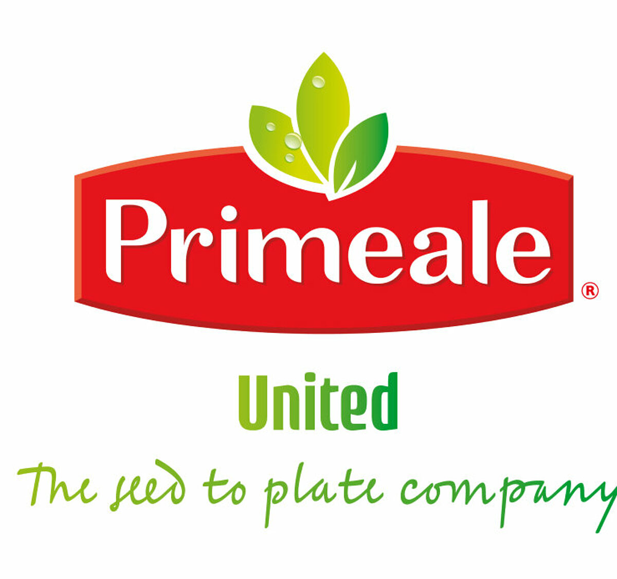 Collaboration with Primeale United