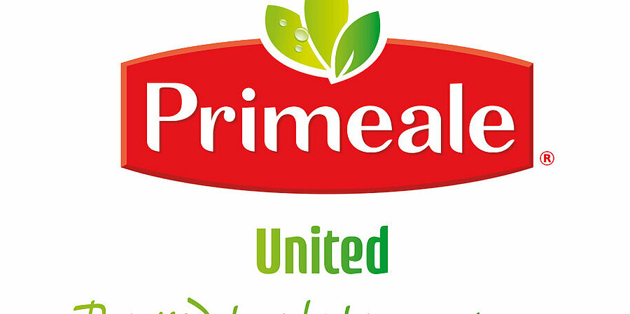 [Translate to French:] Primeale United: De samenwerkingspartner in de groenteteelt