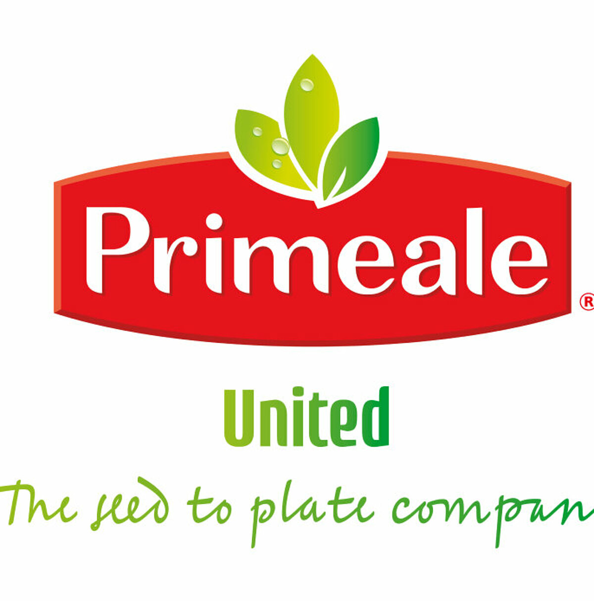 Collaboration with Primeale United