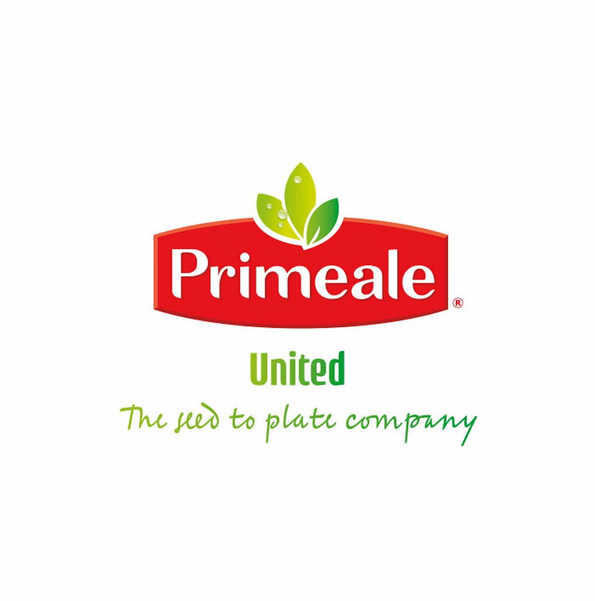 Van Oers United continues under a new label: Primeale United Van Oers United continues under a new label: Primeale United