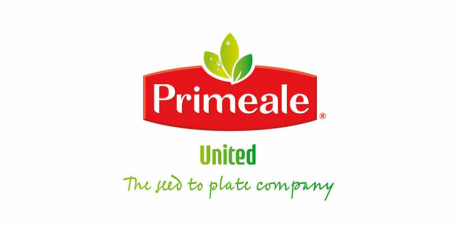 A healthy work environment at Primeale United