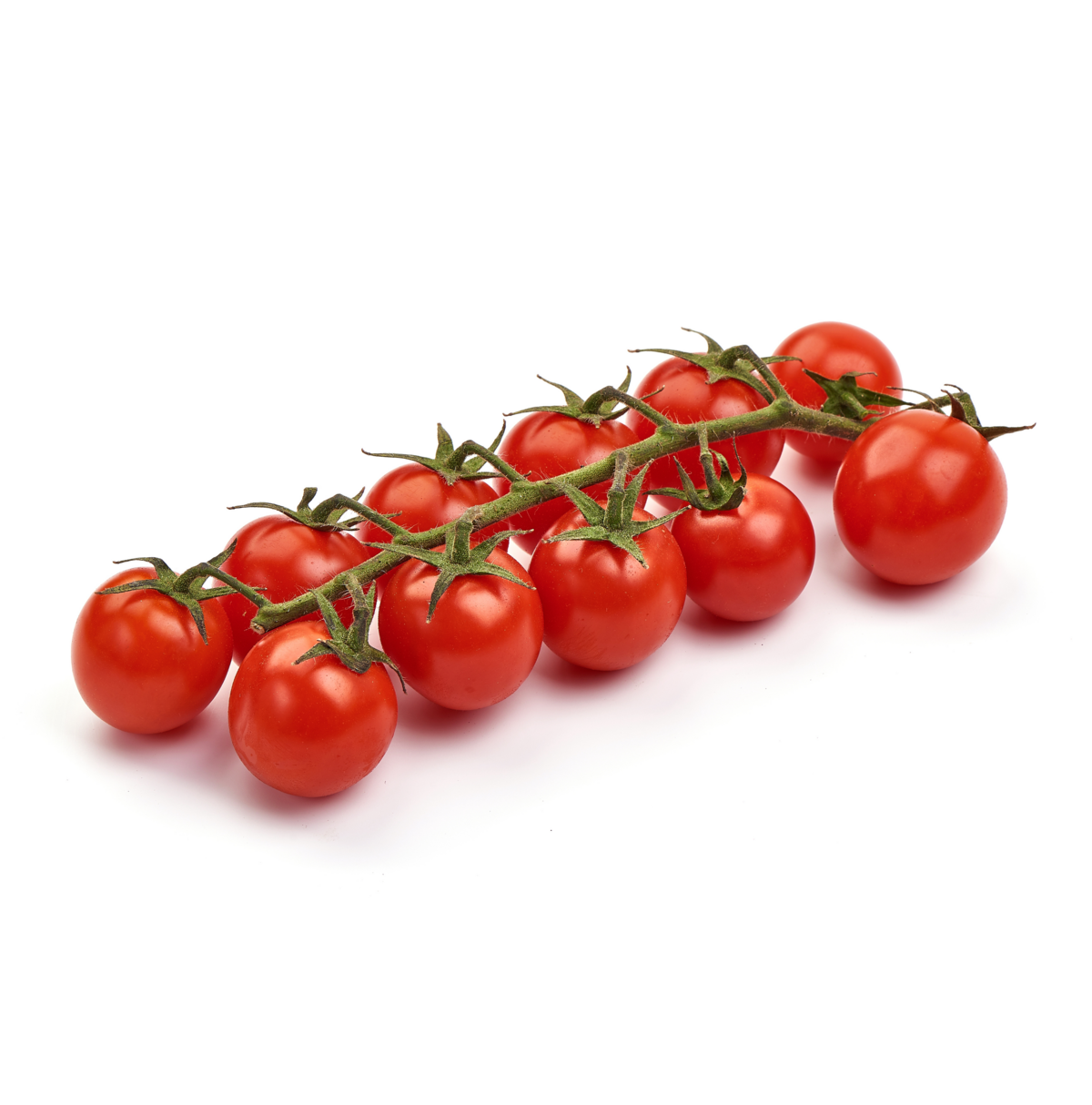 Cherrytomaten teelt voor de beste cherrytomaten Cherrytomaten teelt voor de beste cherrytomaten