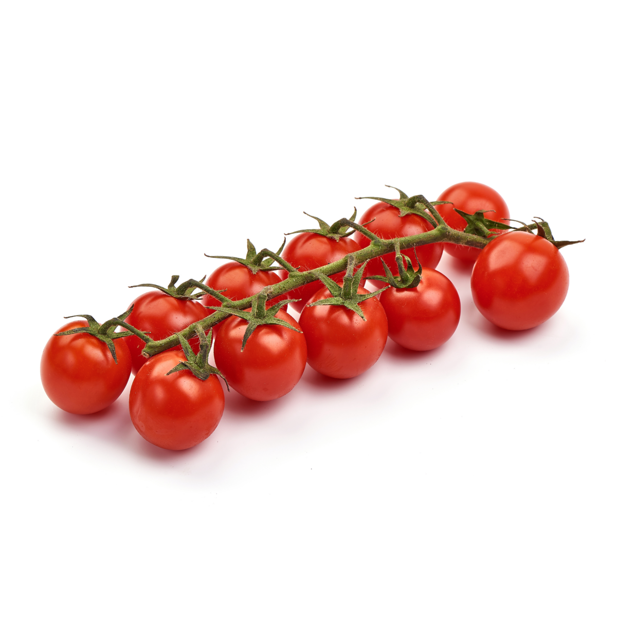 [Translate to French:] Cherrytomaten teelt voor de beste cherrytomaten