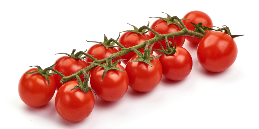 [Translate to French:] Cherrytomaten teelt voor de beste cherrytomaten