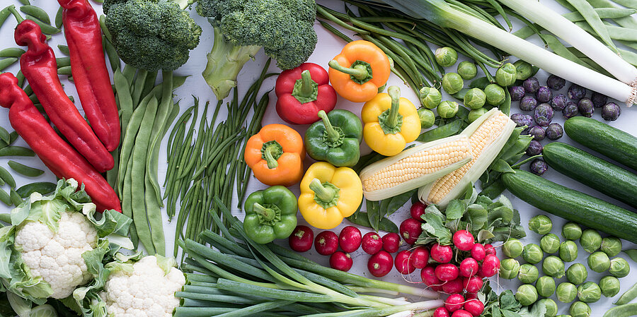 Primeale United: Your ideal partner for fresh vegetables 
