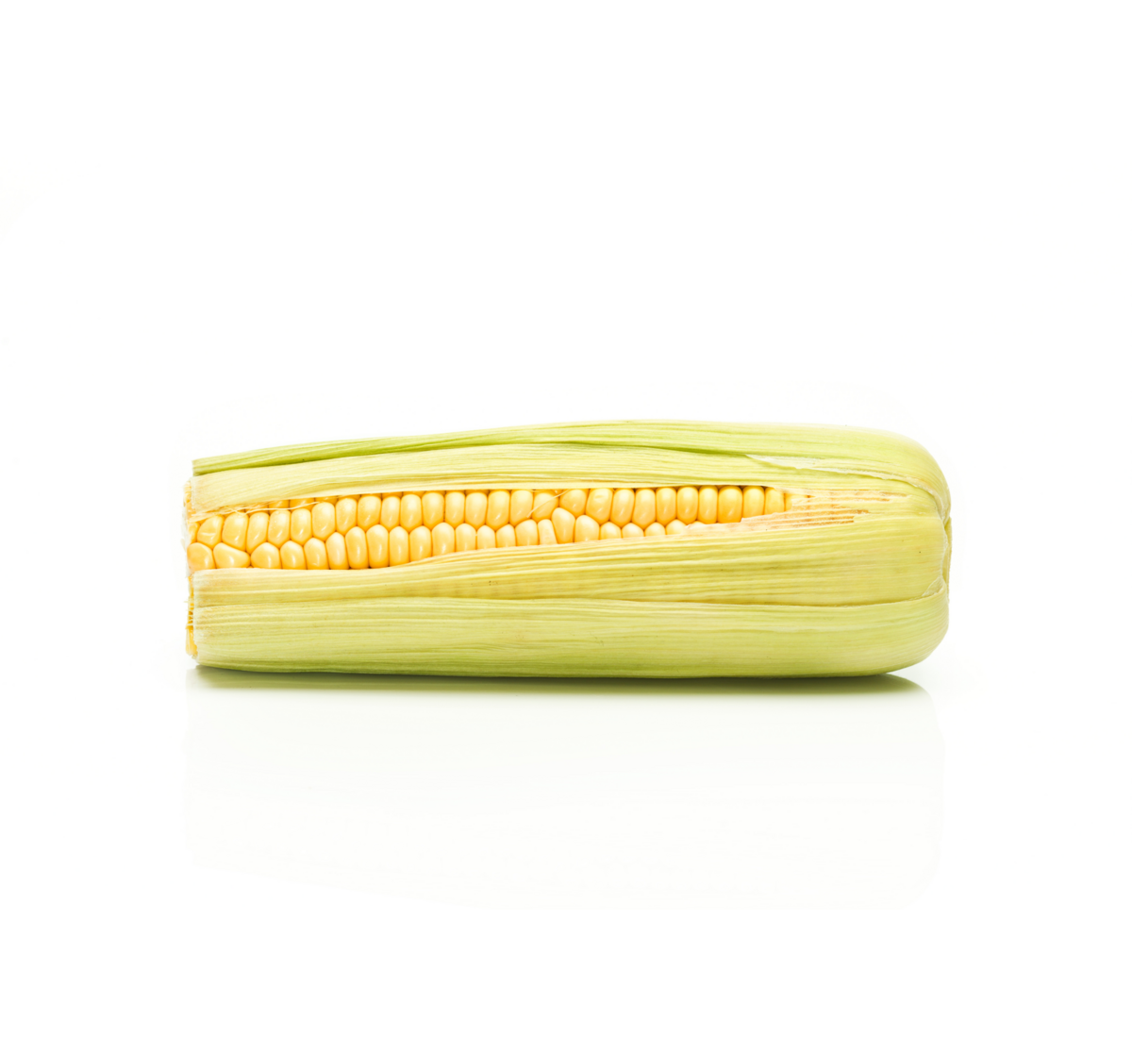 Sweetcorn cultivation for the best quality sweetcorn