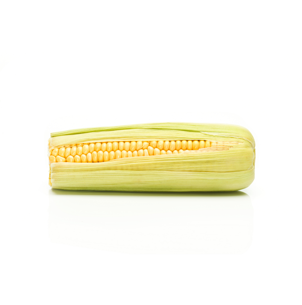 Sweetcorn cultivation for the best quality sweetcorn