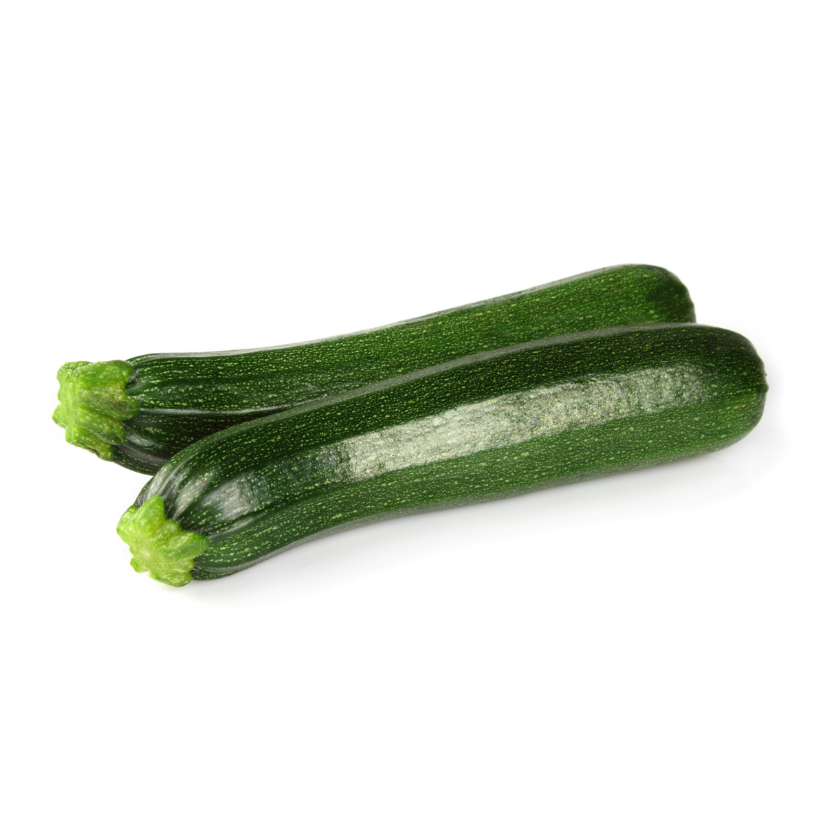Courgette teelt voor de beste courgettes Courgette teelt voor de beste courgettes