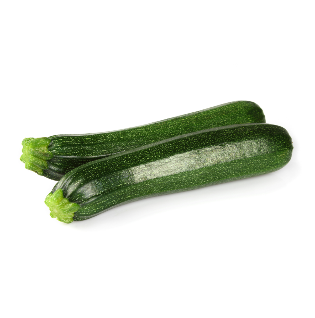 [Translate to French:] Courgette teelt voor de beste courgettes