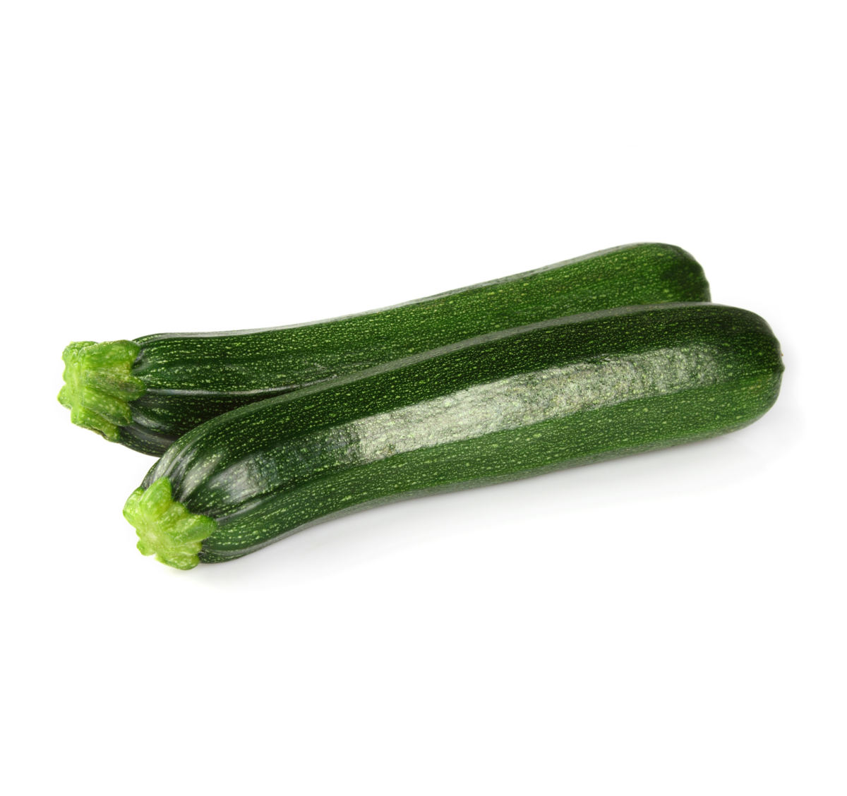 Courgette teelt voor de beste courgettes Courgette teelt voor de beste courgettes