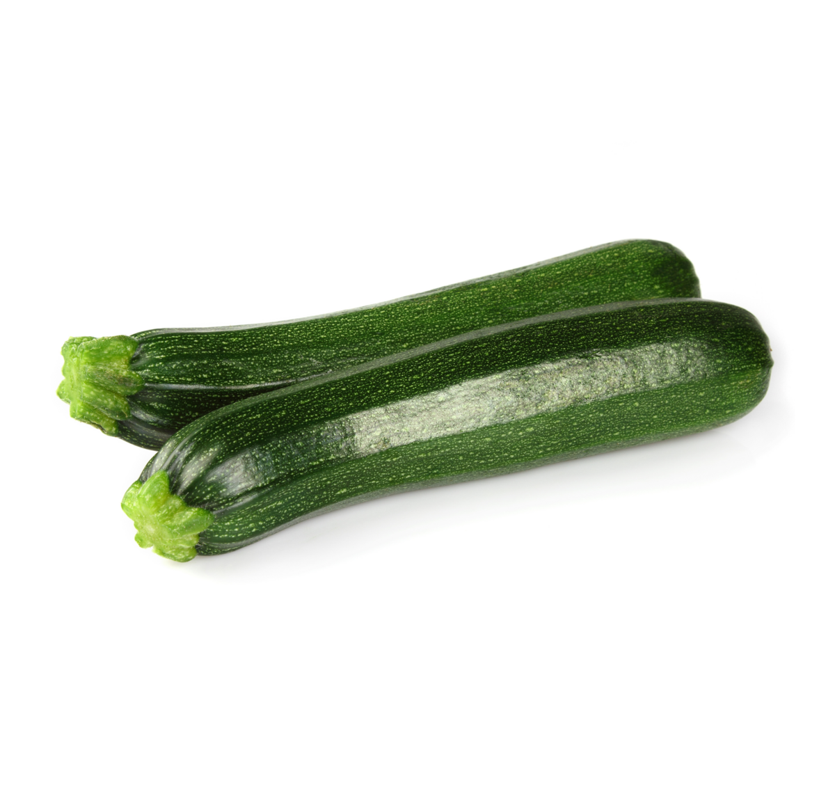 [Translate to French:] Courgette teelt voor de beste courgettes