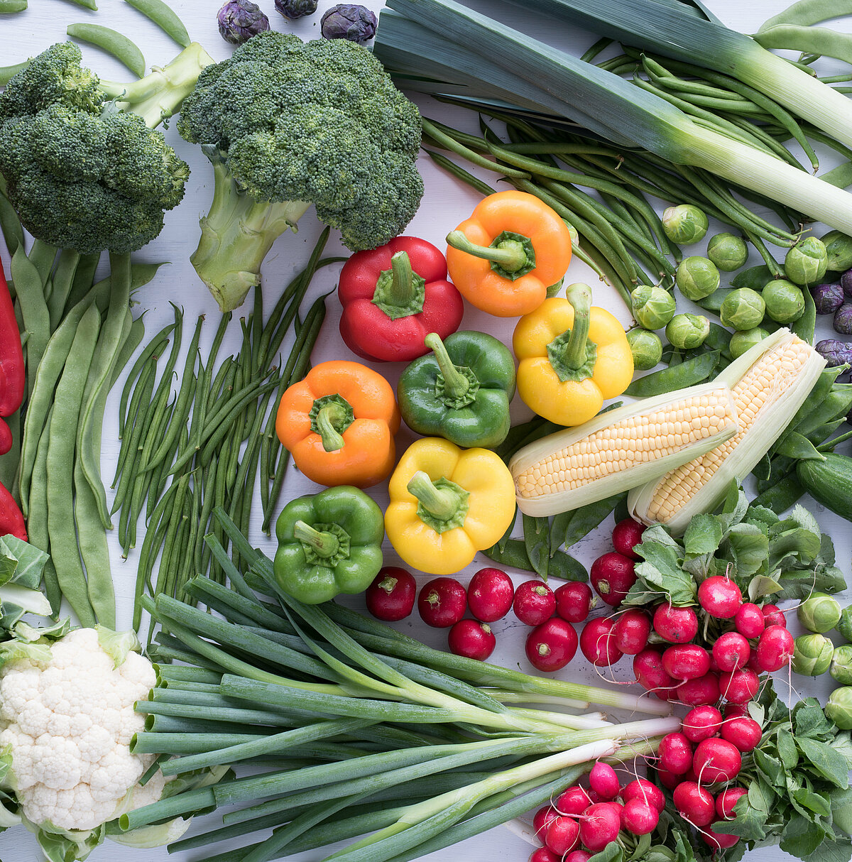 Reaching the highest quality in vegetables Reaching the highest quality in vegetables