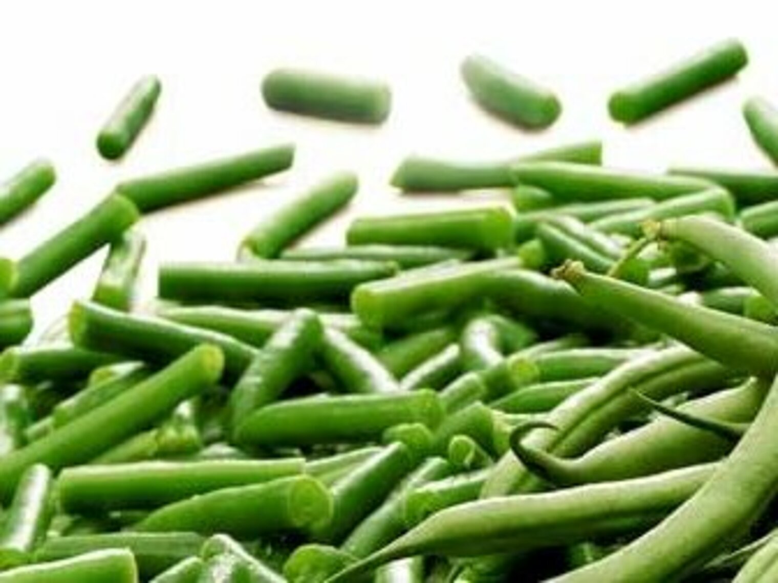 The perfect collaboration partner in vegetable production The perfect collaboration partner in vegetable production