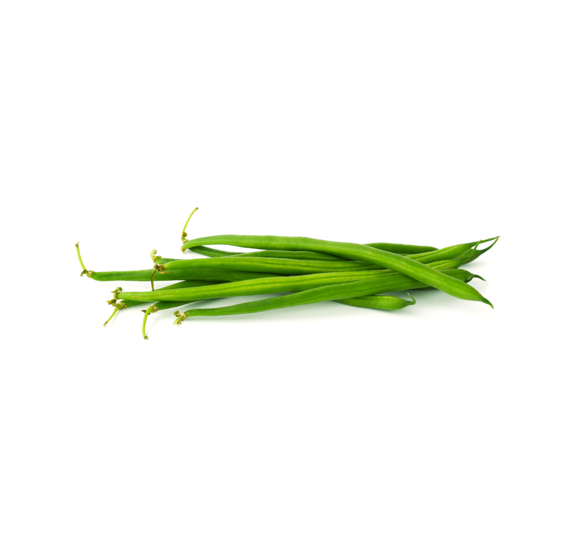 Haricots verts cultivation for the best quality haricots verts